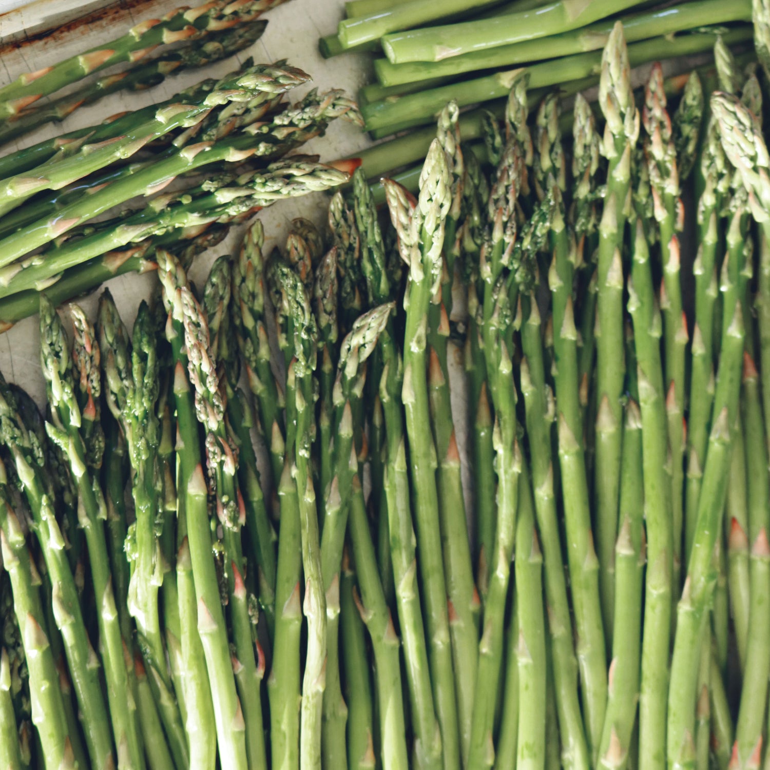 Vegetable - Asparagus Seeds