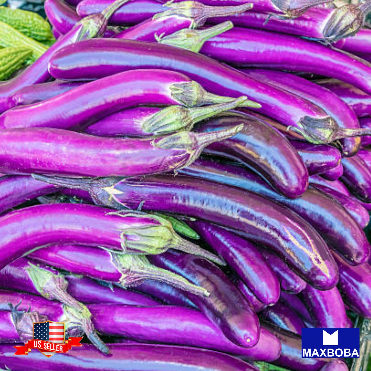 Eggplant Seeds - Long Purple (Organic) Non-GMO Heirloom Vegetable