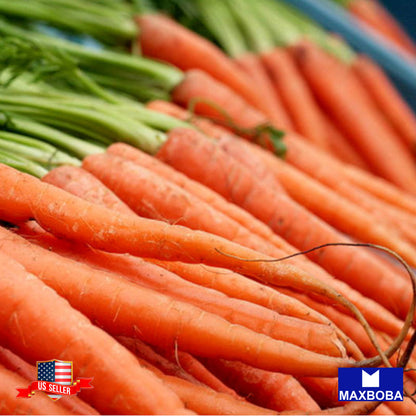 Carrot Scarlet Nantes Seeds Organic Vegetable Heirloom Non-GMO